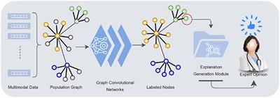 Explaining graph convolutional network predictions for clinicians—An explainable AI approach to Alzheimer's disease classification